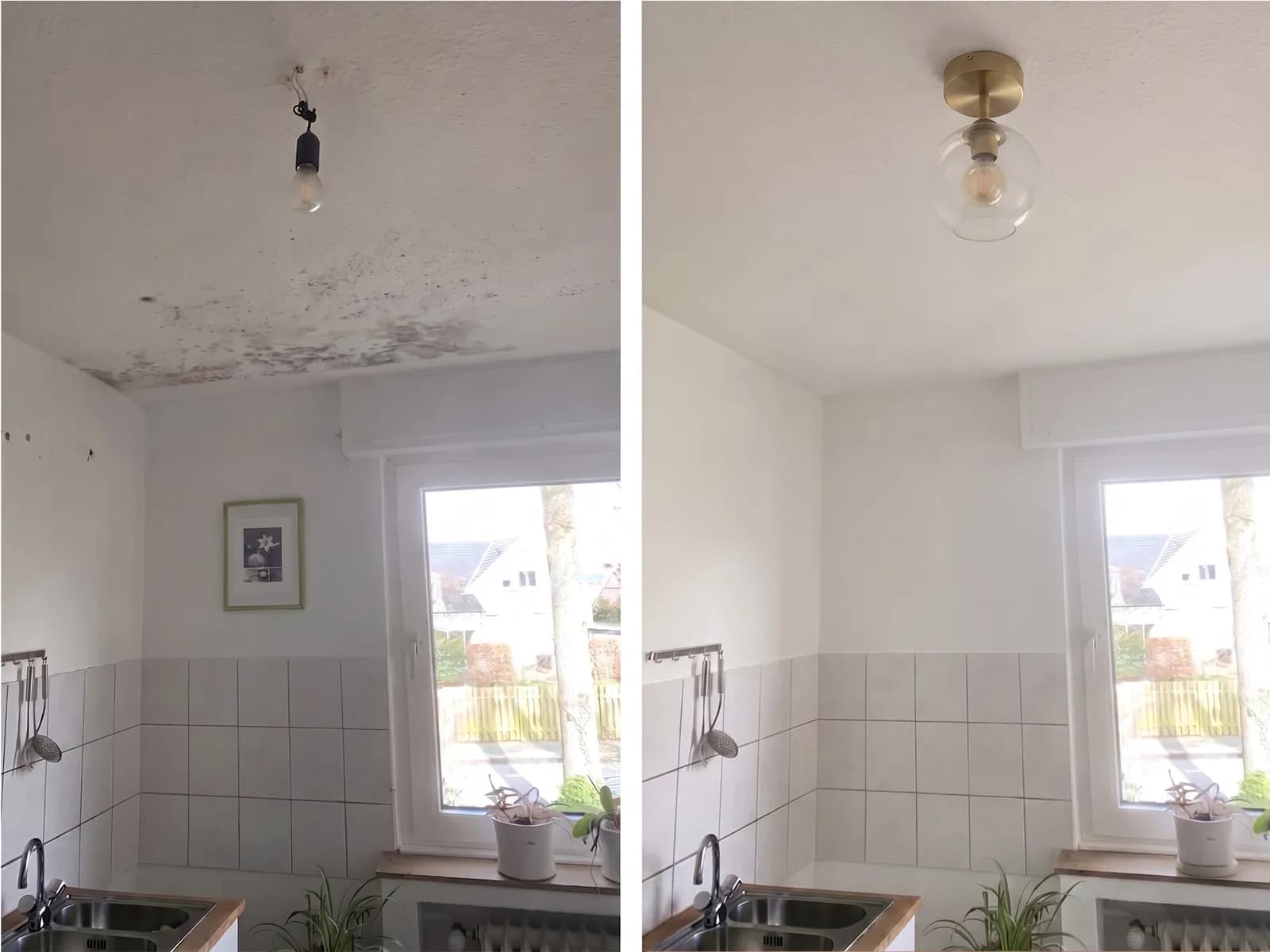Sanierte Wand nach Schimmelentfernung